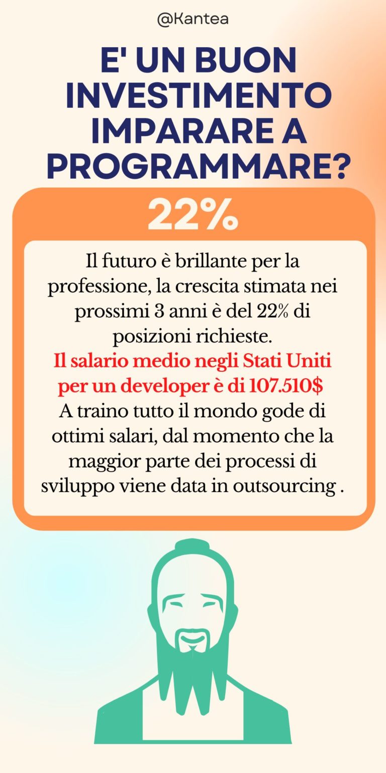 statistiche programmatore